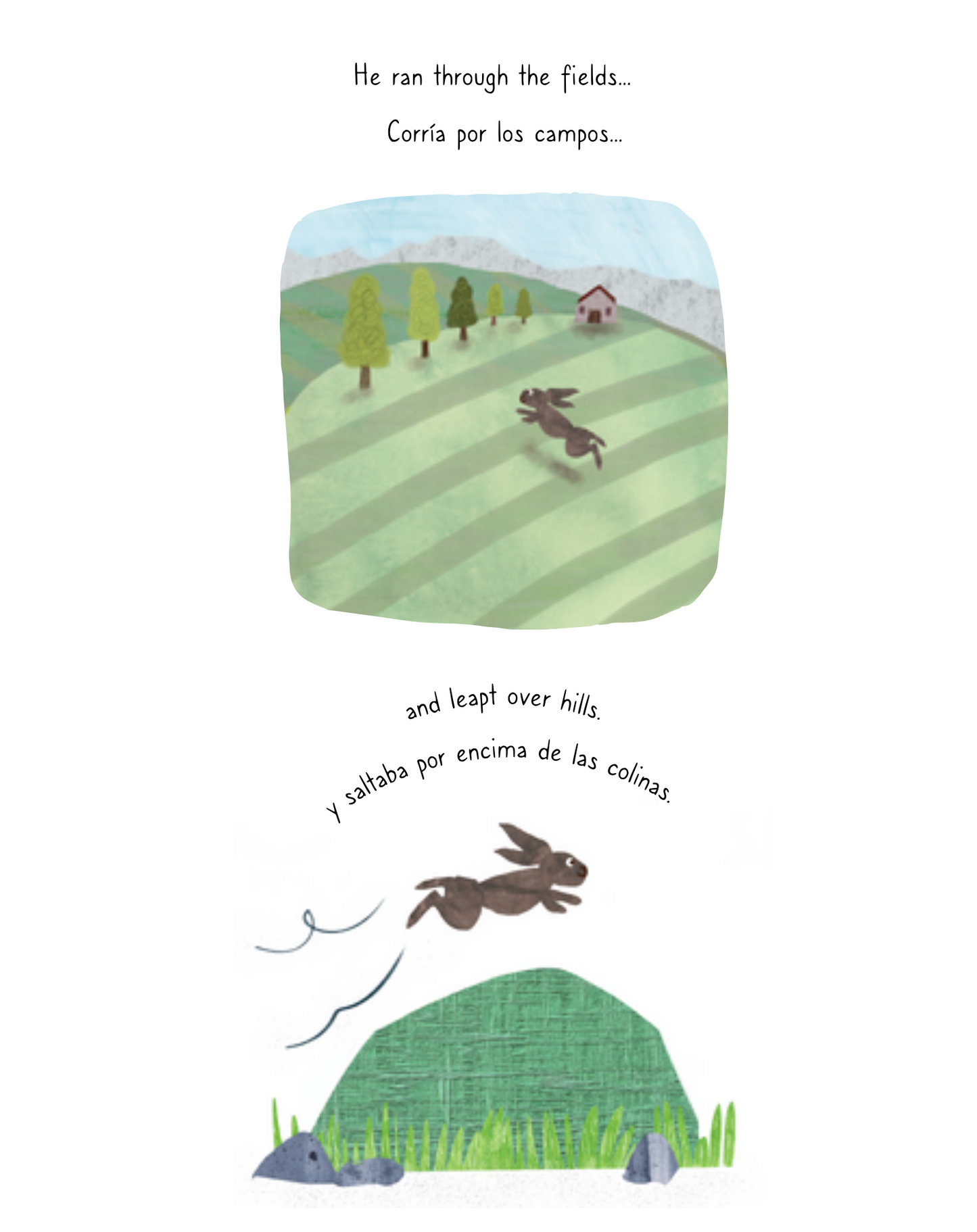 The Hare and the Tortoise / La liebre y la tortuga : bilingual English and Spanish edition