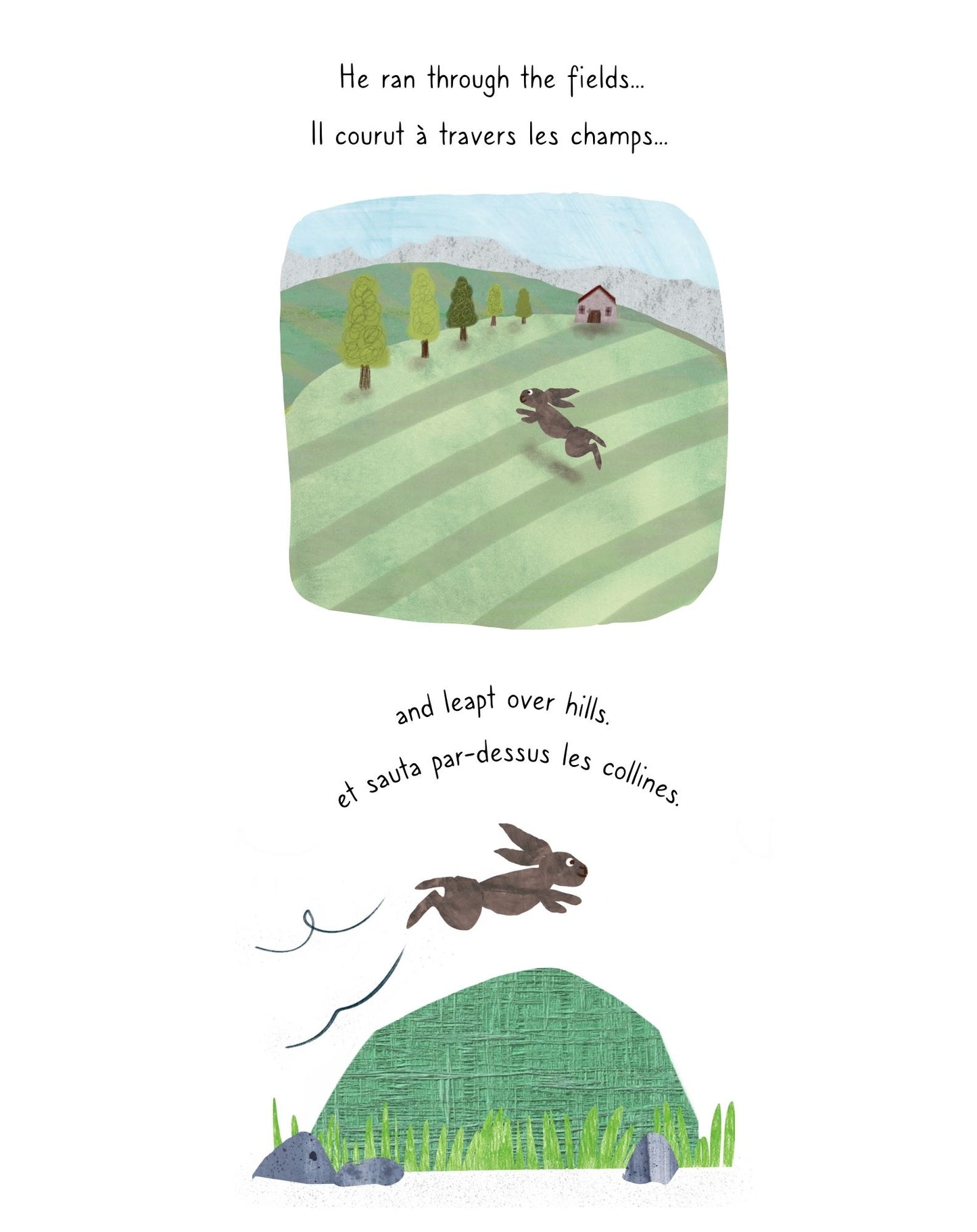 The Hare and the Tortoise / Le Lièvre et la Tortue : a bilingual English and French Aesop retelling